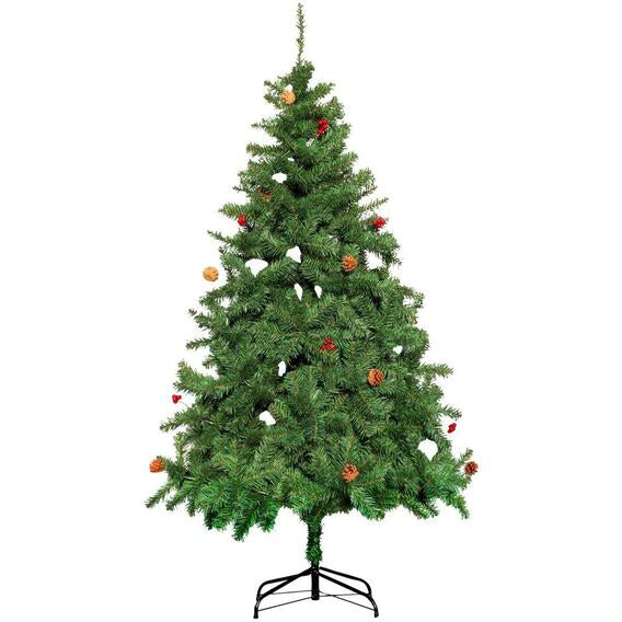 Cone And Berries Tree Green